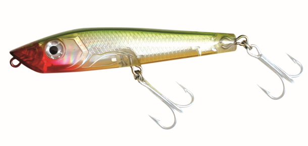 Give that fish a C-Gar!